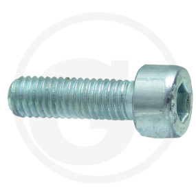 Vpe1 Zyl.schr.in6Kt,Din912,Vz,M10X025 Granit 485912 10X025 08V